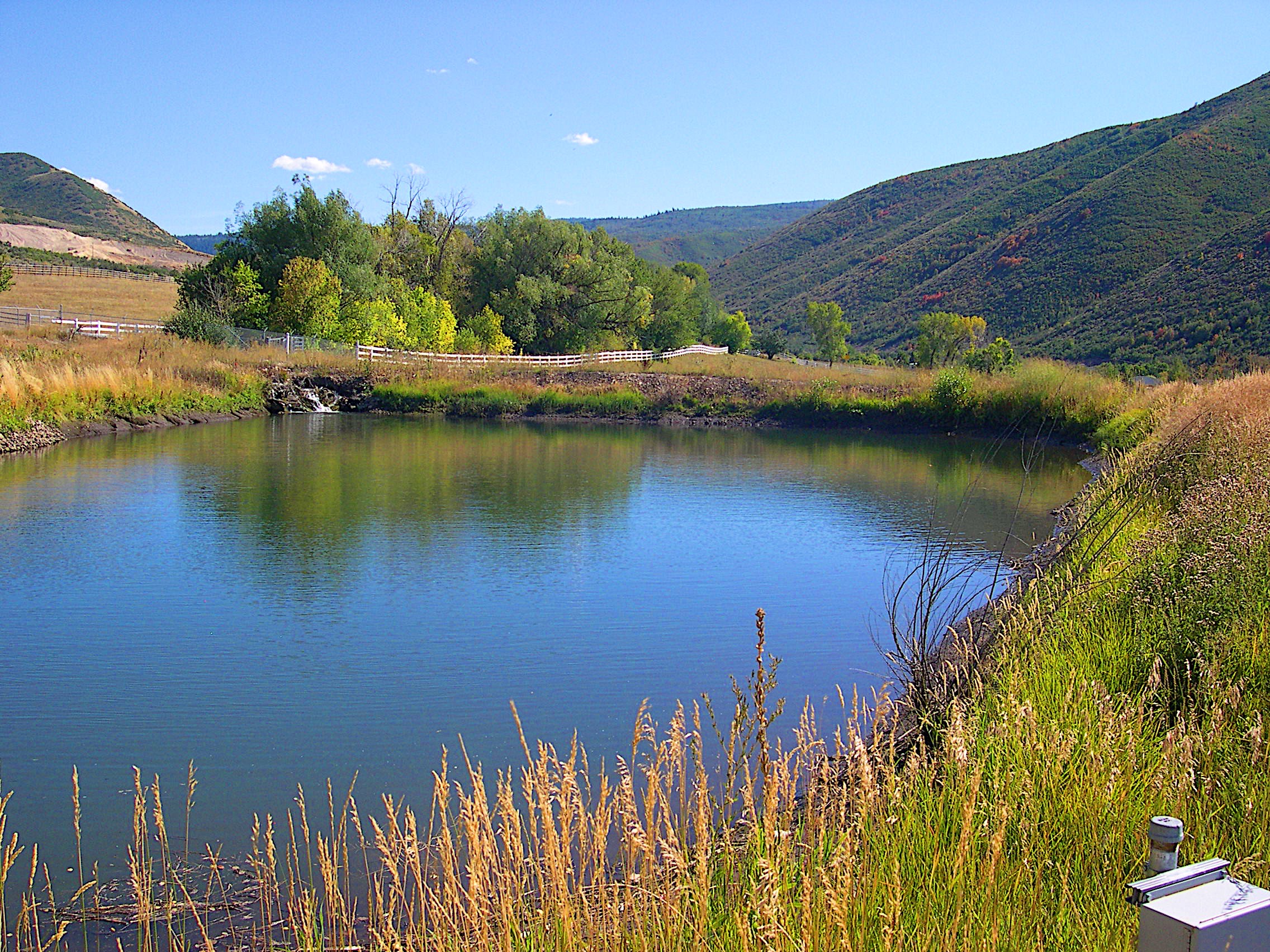 Pond2